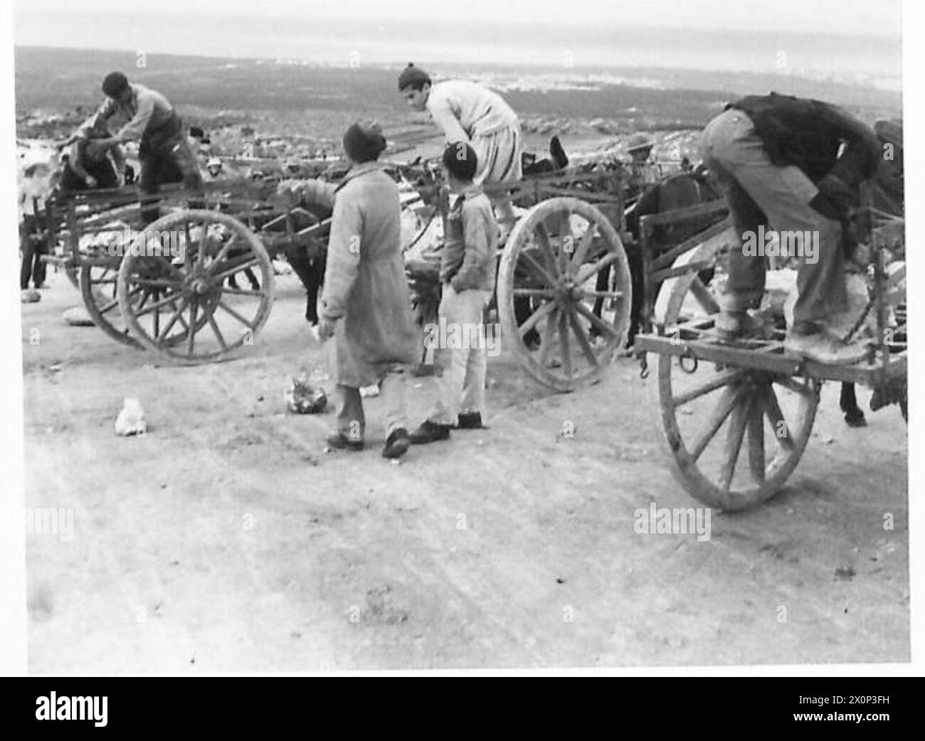 INDISCHE MULE PACK COMPANIES - Mule Carts, die für den Straßenbau in den Bergen verwendet werden. Die Indianer arbeiten hier mit den Einheimischen zusammen. Fotografisches negativ, britische Armee Stockfoto