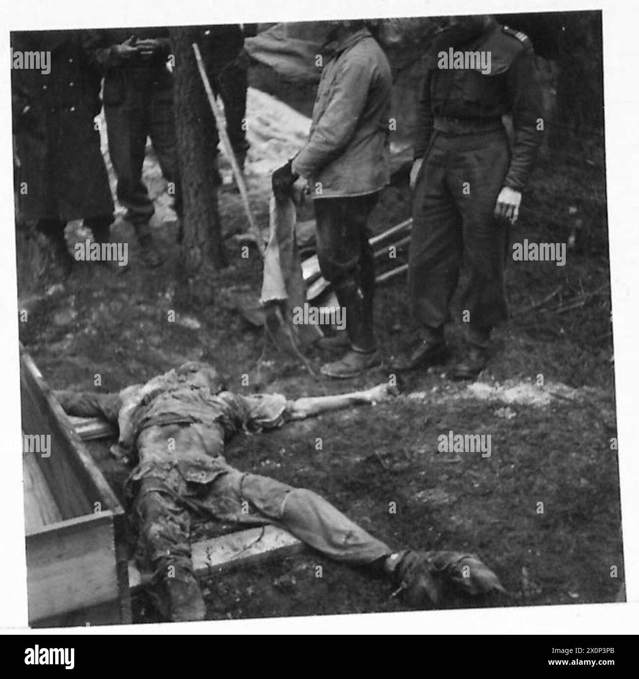 DIE DEUTSCHEN GRÄUELTATEN IM ZWEITEN WELTKRIEG - Soldat der 1. Polnischen Panzerdivision, der auf den ausgemergelten und verprügelten Körper eines seiner Landsleute herabblickt. Am 12. April 1945 wurde ein Zug von Viehwagen, voll mit Sklavenarbeitern aus Konzentrationslagern bei Soltau, in einen Wald entlang der Bahngleise gefahren. Sklavenarbeiter wurden verprügelt und zu Tode geschlagen und ihre Leichen wurden in Gruben geschaufelt, die in den Wäldern gegraben und bedeckt waren.britische Soldaten, die durch den Wald schauten, entdeckten einen Arm, der aus dem Boden ragte und die deutsche Grausamkeit kam ans Licht. Deutsch Stockfoto