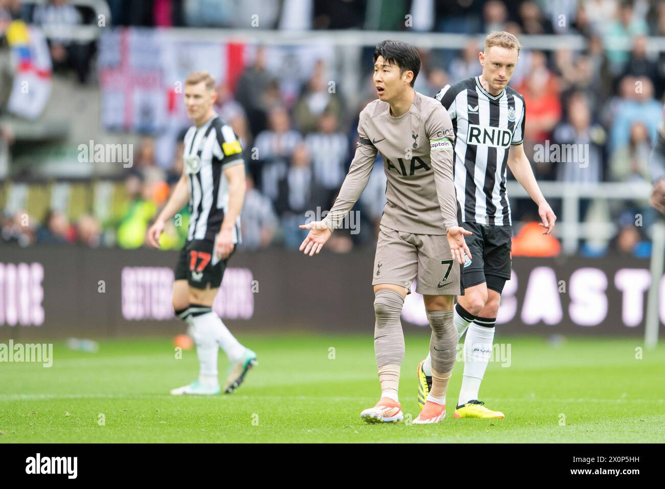 Tottenham Hotspurs Captain Son Heung-Min appelliert während des Premier League-Spiels zwischen Newcastle United und Tottenham Hotspur in St. James's Park, Newcastle am Samstag, den 13. April 2024. (Foto: Trevor Wilkinson | MI News) Credit: MI News & Sport /Alamy Live News Stockfoto