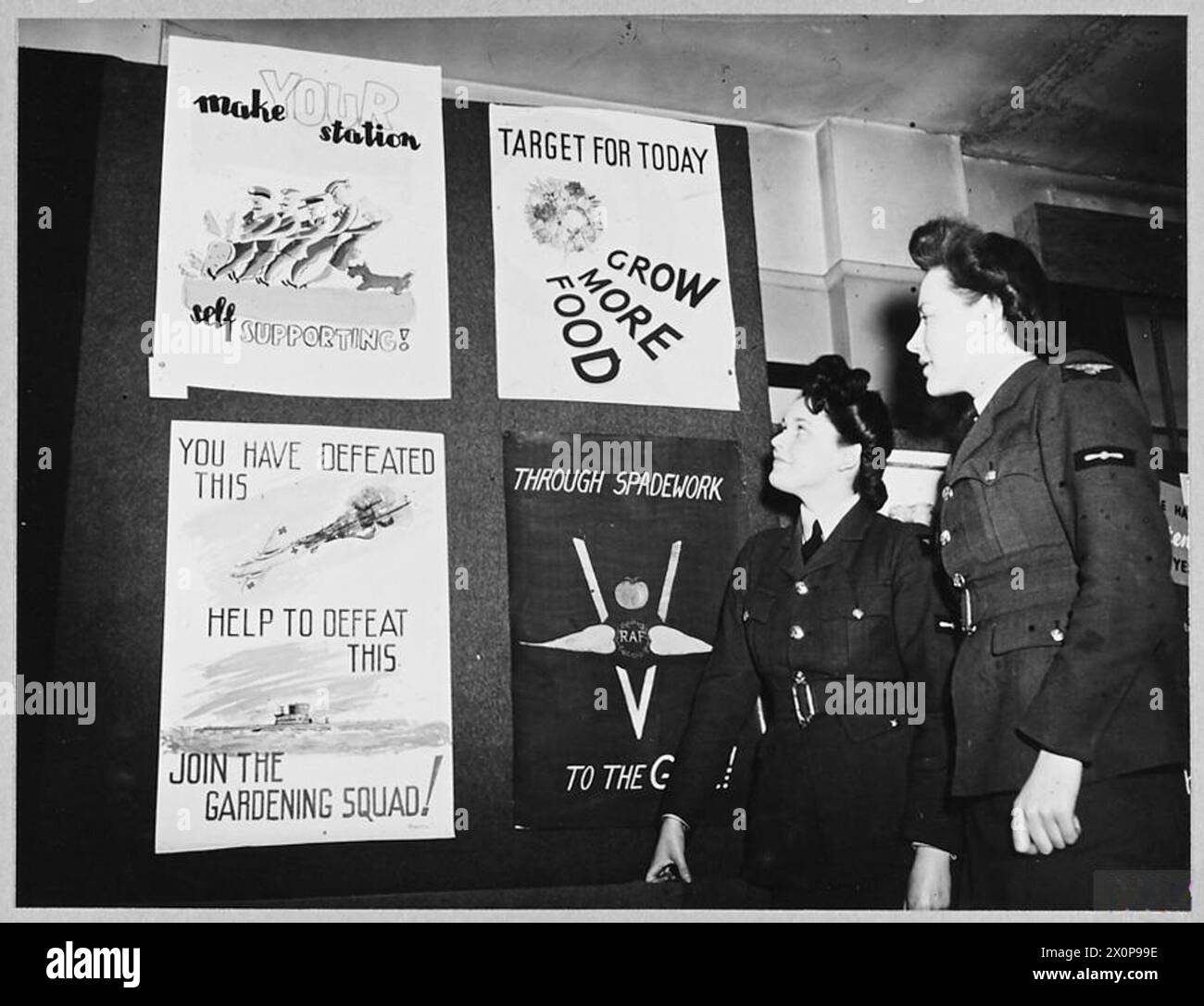 In einer RAF-Station kultivierte das Personal Gemüse und Schweine im Rahmen einer Nahrungsmittelproduktionsinitiative. Plakate von RAF- und WAAF-Mitgliedern wurden auf einer Ausstellung ausgestellt, bei der zwei führende Aircraftwomen die Exponate beobachteten. Fotografisches negativ, Royal Air Force. Stockfoto