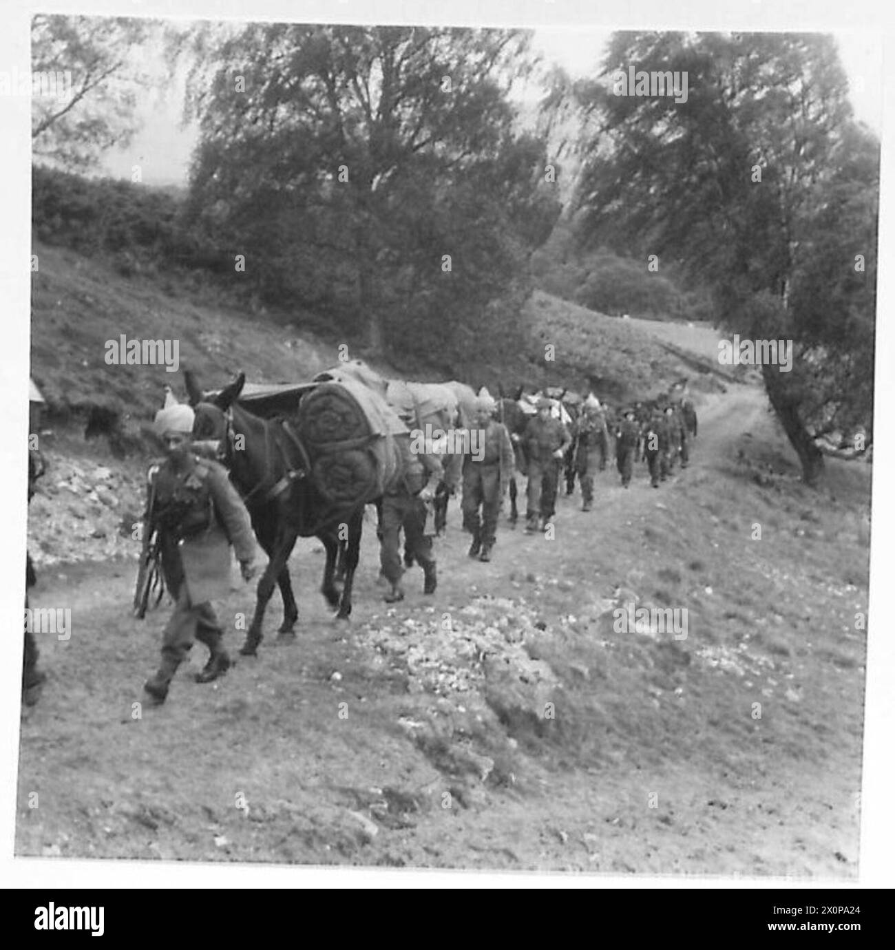 BESUCH VON H.R.H. DER PRINZESSIN ROYAL ZU Einem BATAILLON DER ROYAL SCOTS - Mule Transport bereiten Sie sich auf einen Berganspruch vor. Fotografisches negativ, britische Armee Stockfoto