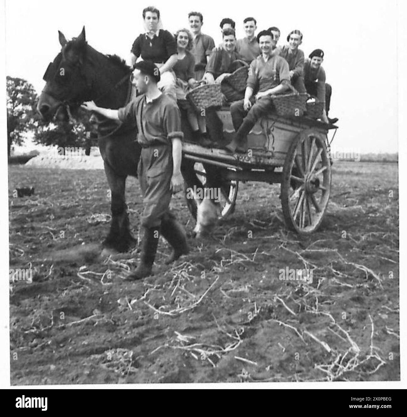 Landarmee-Mädchen und -Truppen, die mit geernteten Kartoffeln auf den Bauernhof zurückkehren, veranschaulichen die landwirtschaftliche Unterstützung durch Militärpersonal. Fotografisches negativ, britische Armee. Stockfoto