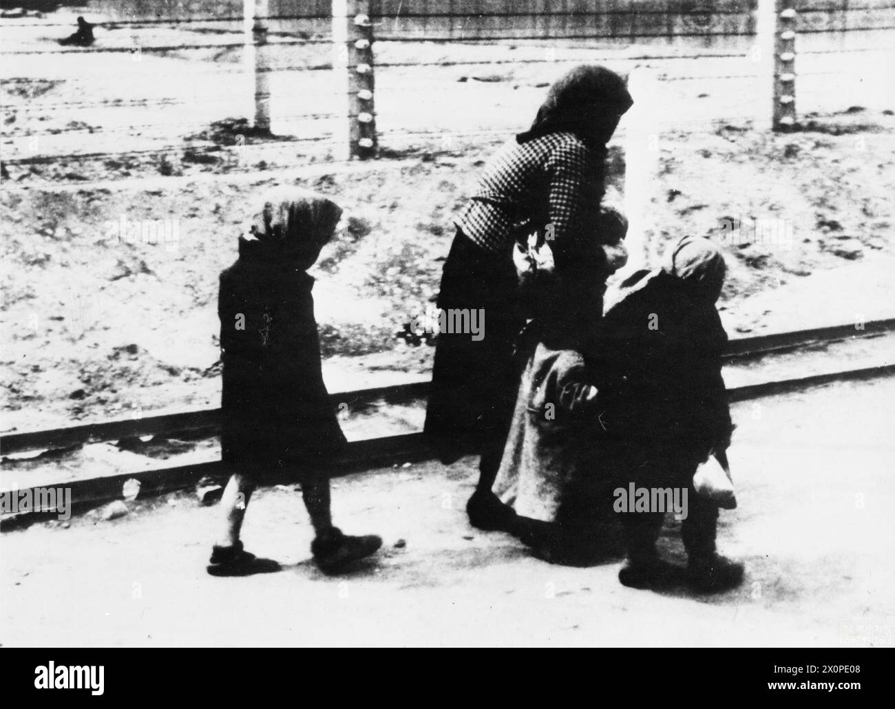 Jüdische ungarische Männer, Frauen und Kinder wurden von Mai bis Juni 1944 in das Lager Auschwitz II-Birkenau transportiert. Die Gefangenen bewegen sich auf der Straße zwischen den Compounds BIIc und BIId zu den Gaskammern IV und V. fotografisches negativ, Holocaust. Stockfoto