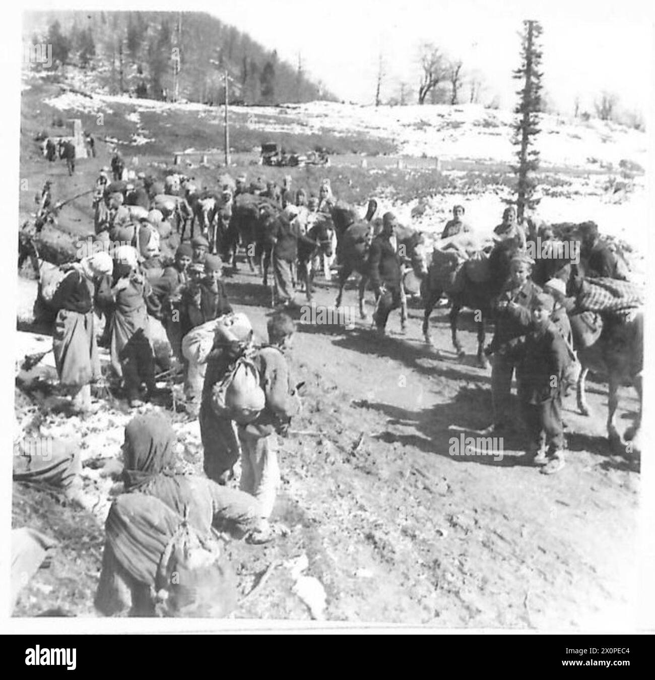 Männer, Frauen und Kinder werden während einer achttägigen Wanderung auf der Straße zwischen Zvornik und Rumanua, Jugoslawien, gezeigt, die mit Transportschwierigkeiten konfrontiert ist. Fotografisches negativ, britische Armee. Stockfoto