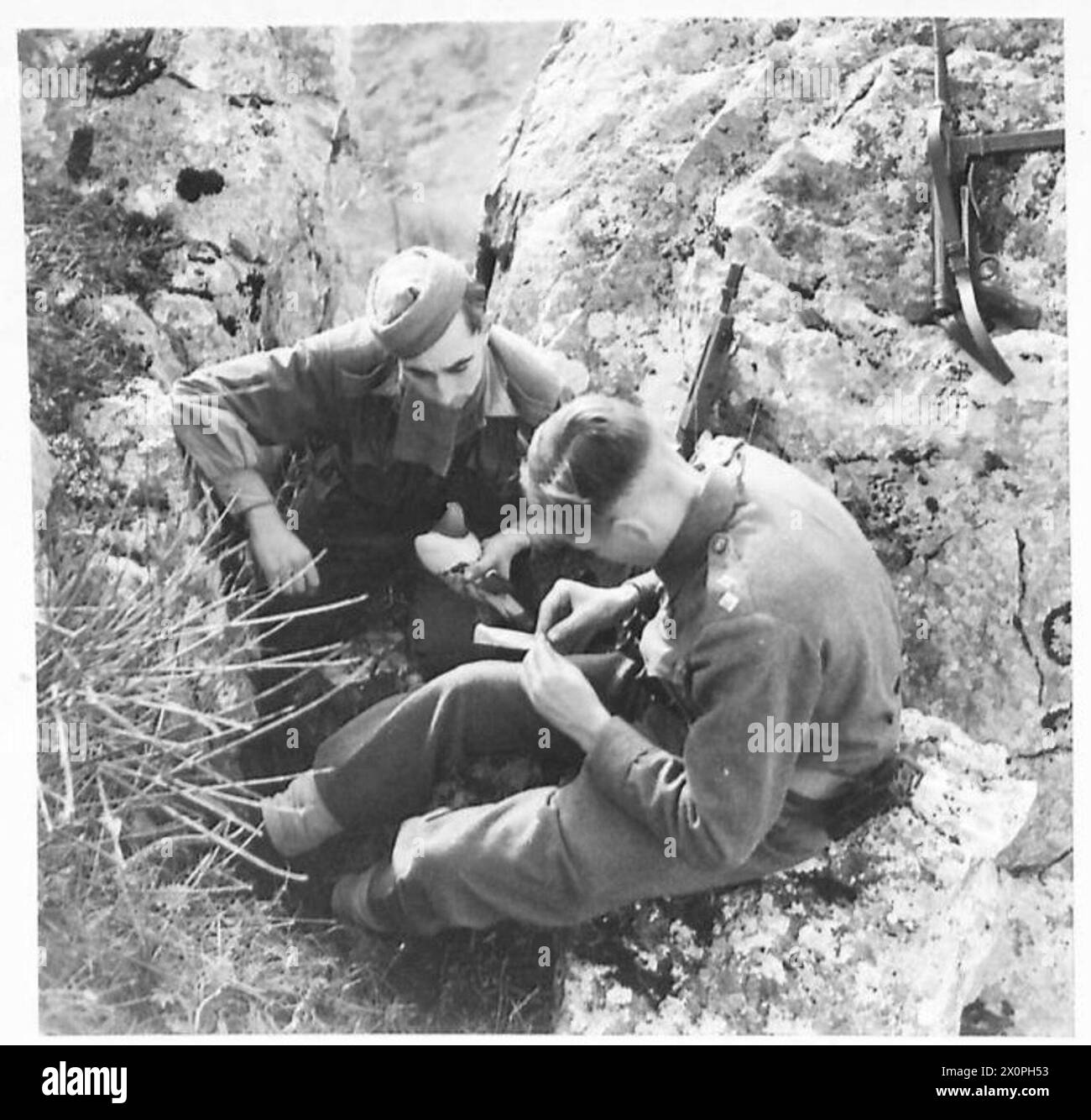 ITALIEN: ACHTE ARMYCARRIER-TAUBEN BEWEISEN IHREN WERT IN ITALIEN - Pte. W. Pearson aus Colchester nimmt eine Taube aus dem Karton. Fotografisches negativ, britische Armee Stockfoto