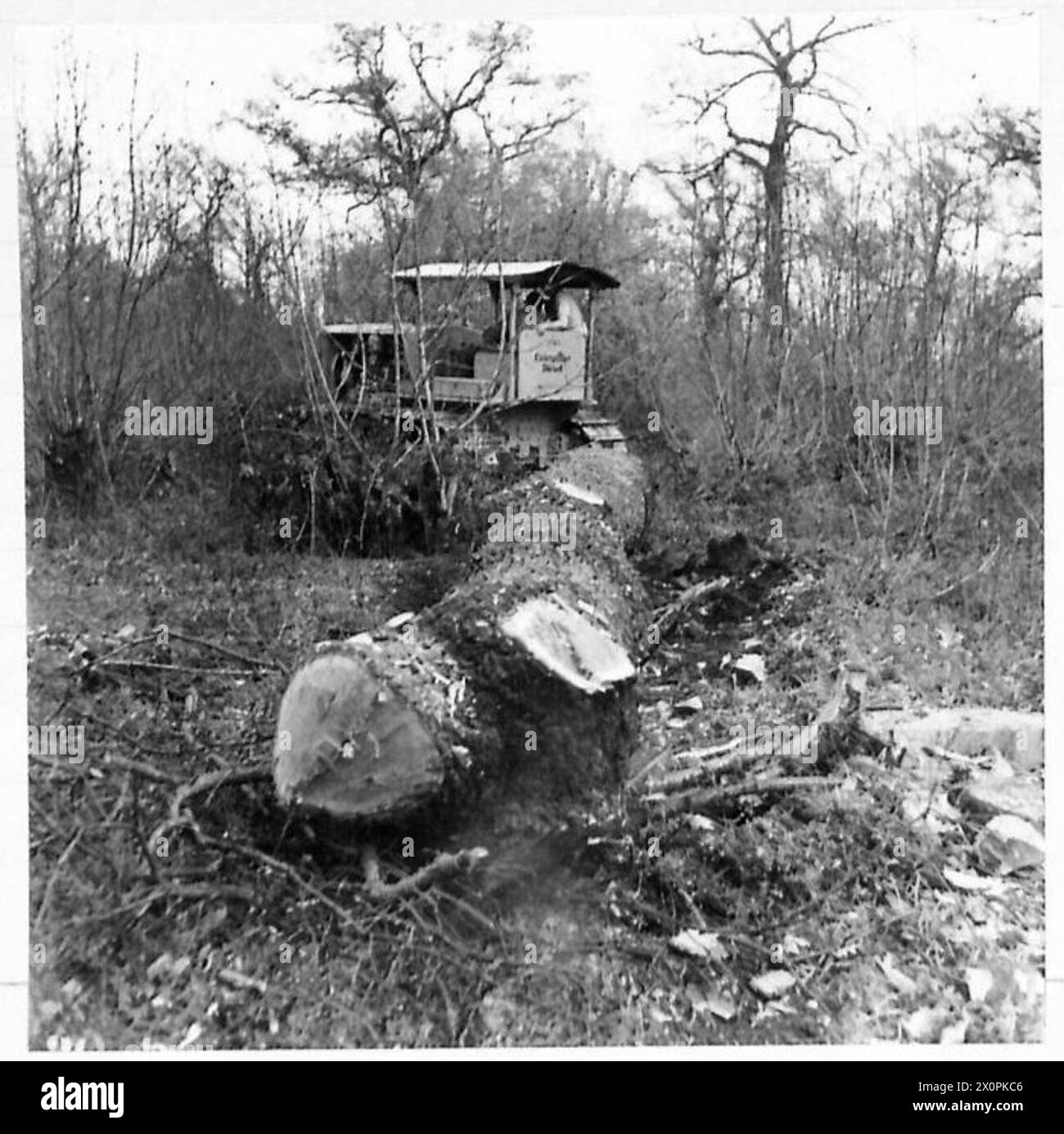 NEUSEELANDS BUSCHLEUTE BEI DER ARBEIT – schleppen Sie die Früchte durch das Unterholz zu den „Kufen“, um sie zum Sägewerk zu transportieren. Fotografisches negativ, britische Armee Stockfoto