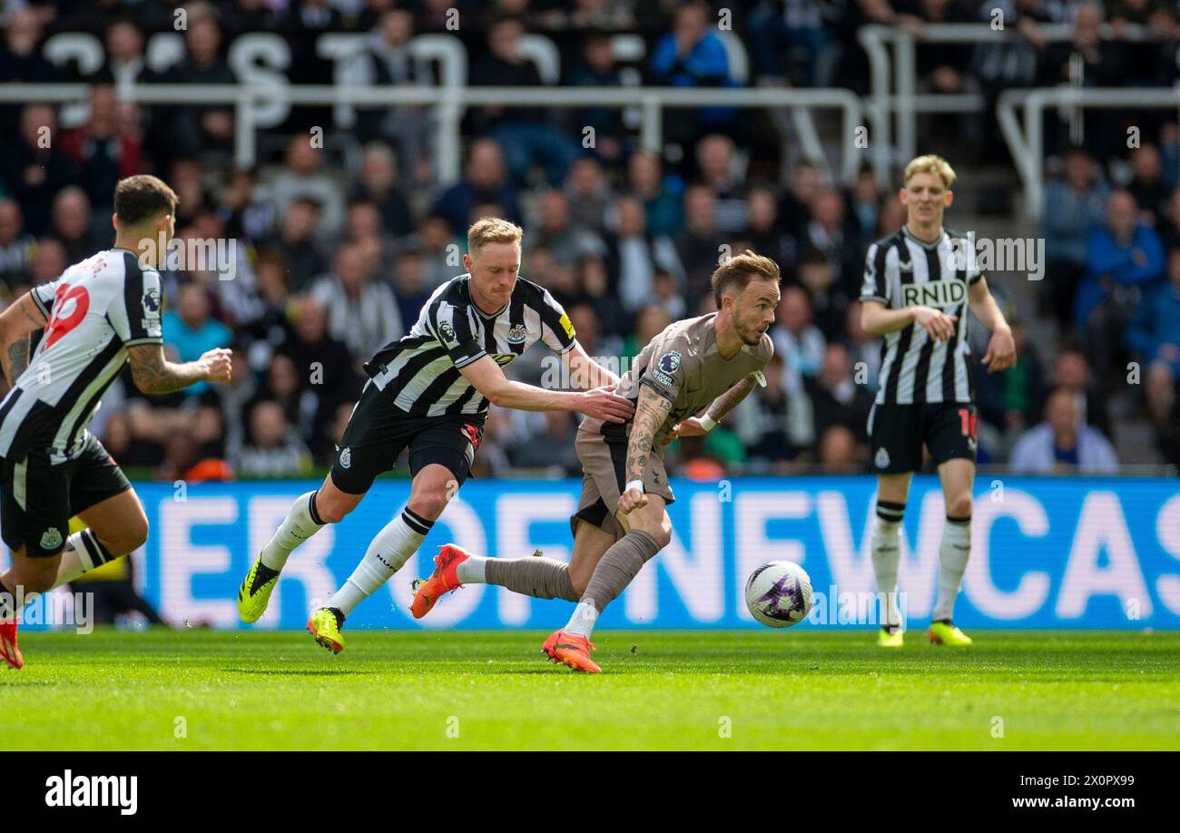 April 2024; St. James' Park, Newcastle, England; Premier League Football, Newcastle United gegen Tottenham Hotspur; Sean Longstaff von Newcastle United versucht James Maddison von Tottenham Hotspur zurückzuhalten Stockfoto