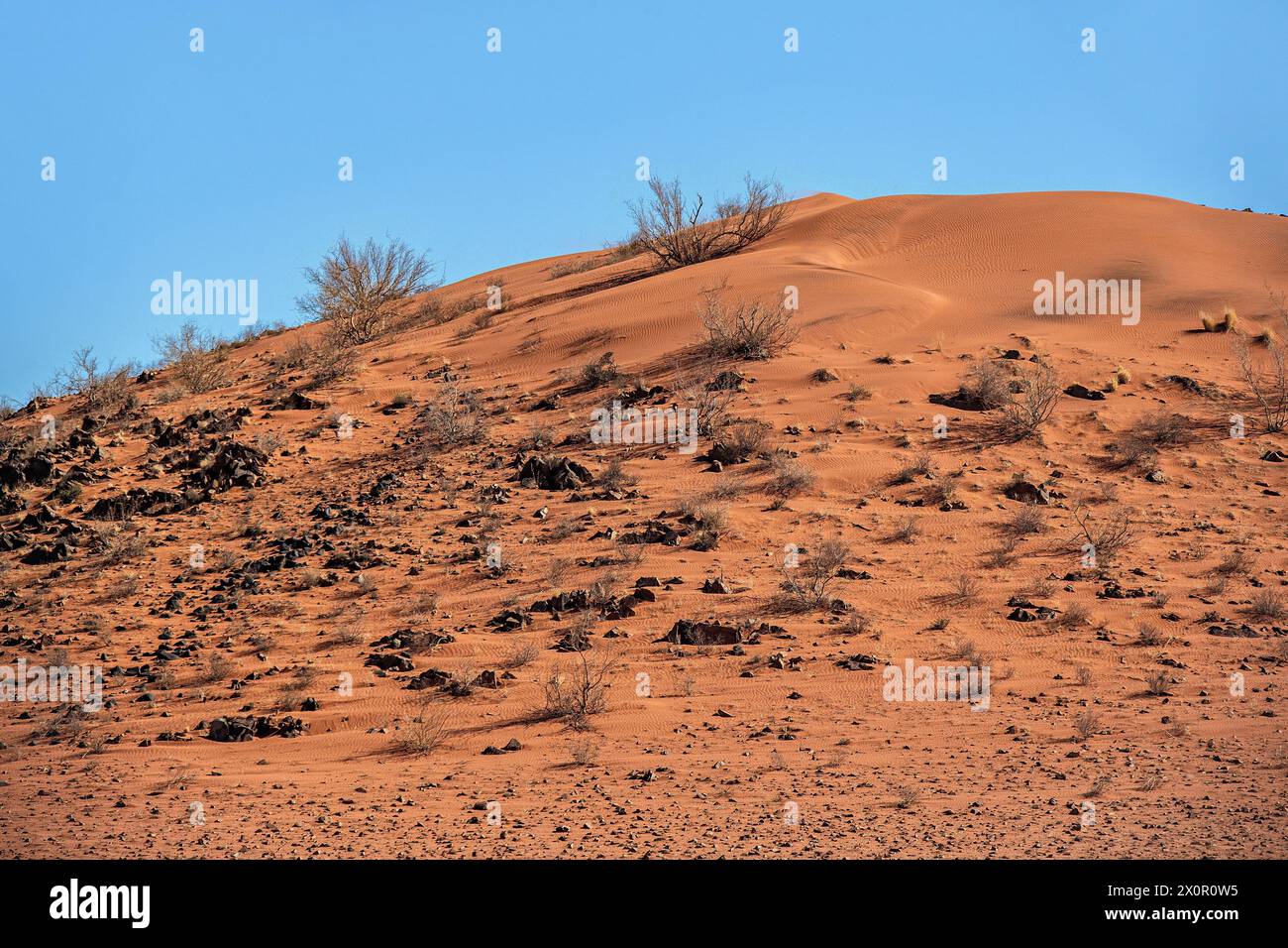 Orangefarbene Sanddüne mit Vegetation und Felsen tief unten. Stockfoto