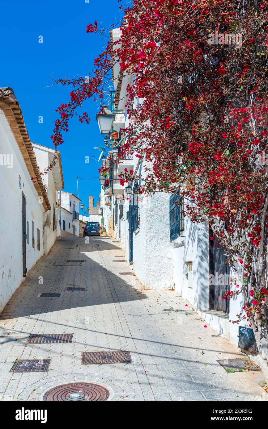 Altstadt Altea, Comunidad Valenciana, Alicante Viertel, Costa Blanca, Spanien Stockfoto