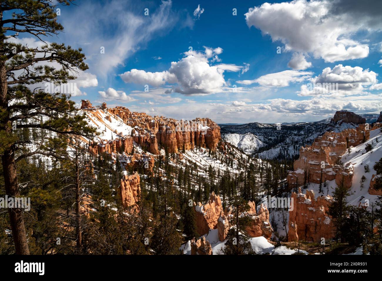 Winternachmittag im Sheep Creek Canyon im Bryce Canyon National Park in Utah. Stockfoto