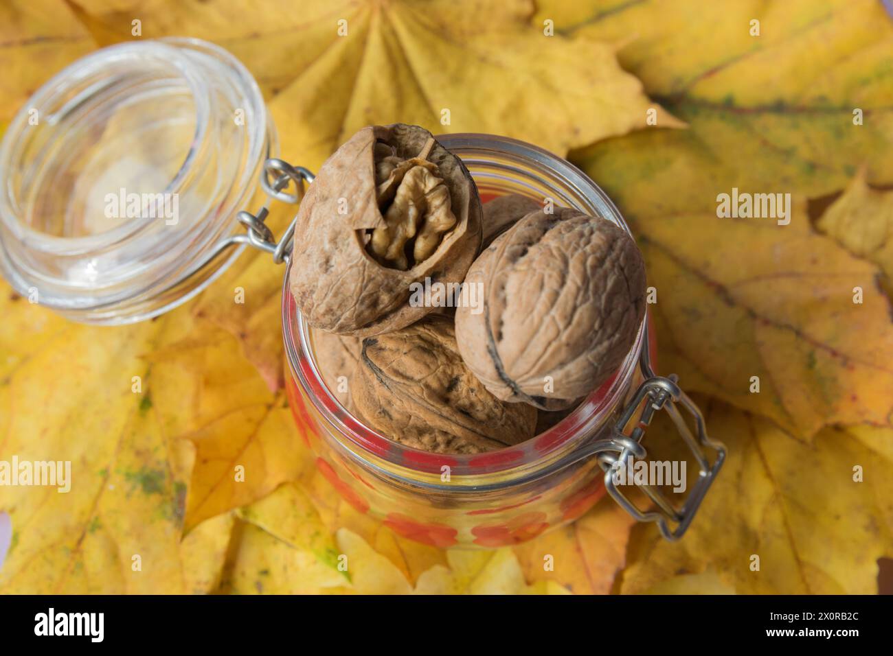 Herbstkomposition mit Walnüssen und gelben Blättern. Herbsthintergrund für Design. Stockfoto