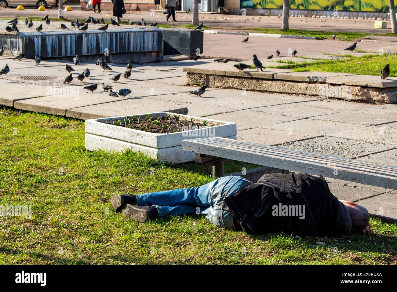 Betrunkener Mann, der auf dem Gras unter einer Bank auf einer Stadtstraße schläft Stockfoto