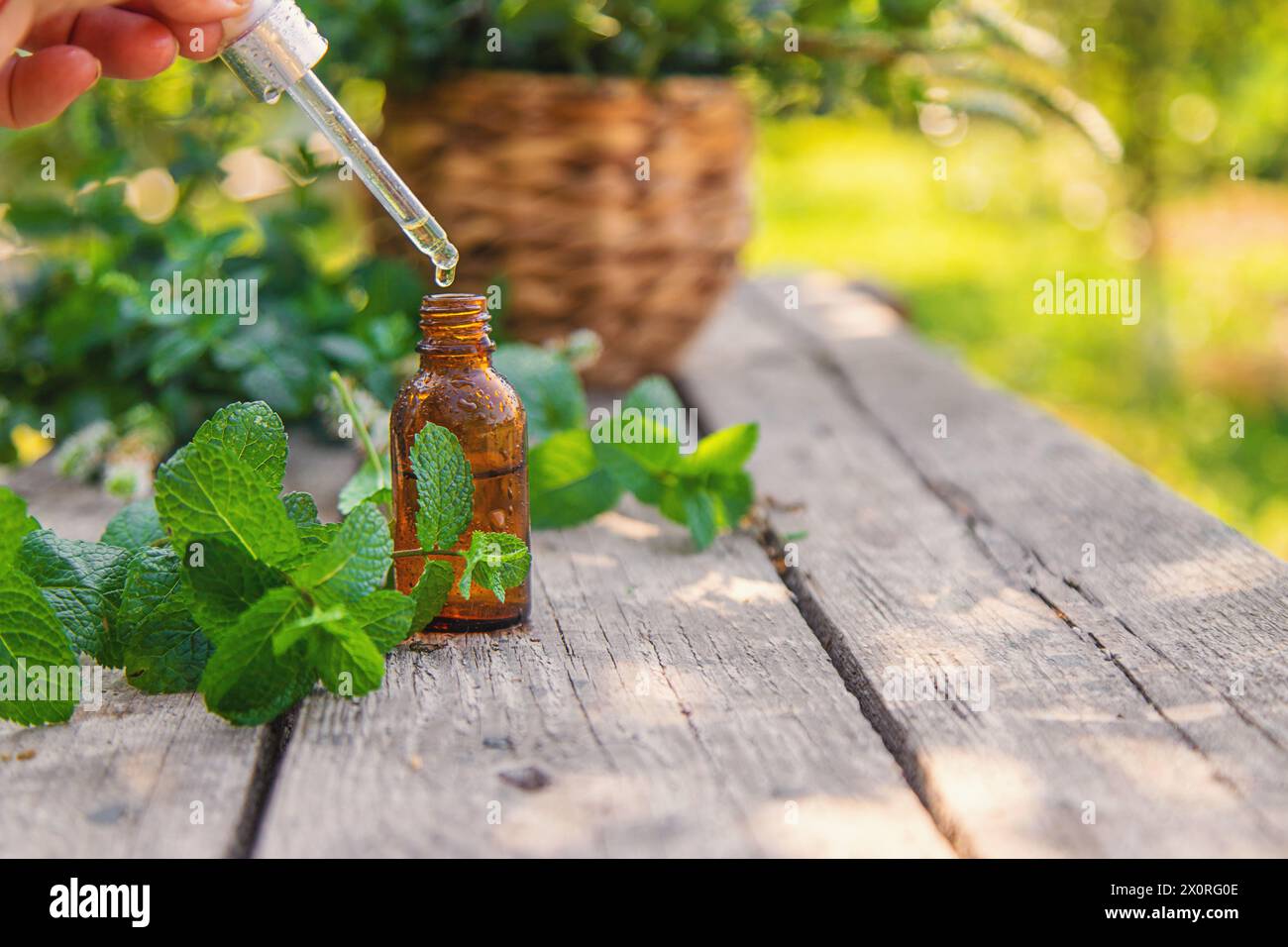 Ätherisches Pfefferminzöl in einer Flasche. Selektiver Fokus. Natur. Stockfoto