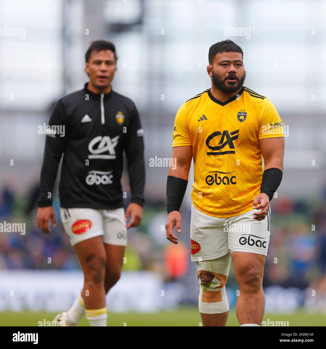 Aviva Stadium, Dublin, Irland. April 2024. Investec Champions Cup Rugby, Leinster gegen La Rochelle; Ein Spieler von La Rochelle wärmt sich vor dem Start auf Credit: Action Plus Sports/Alamy Live News Stockfoto