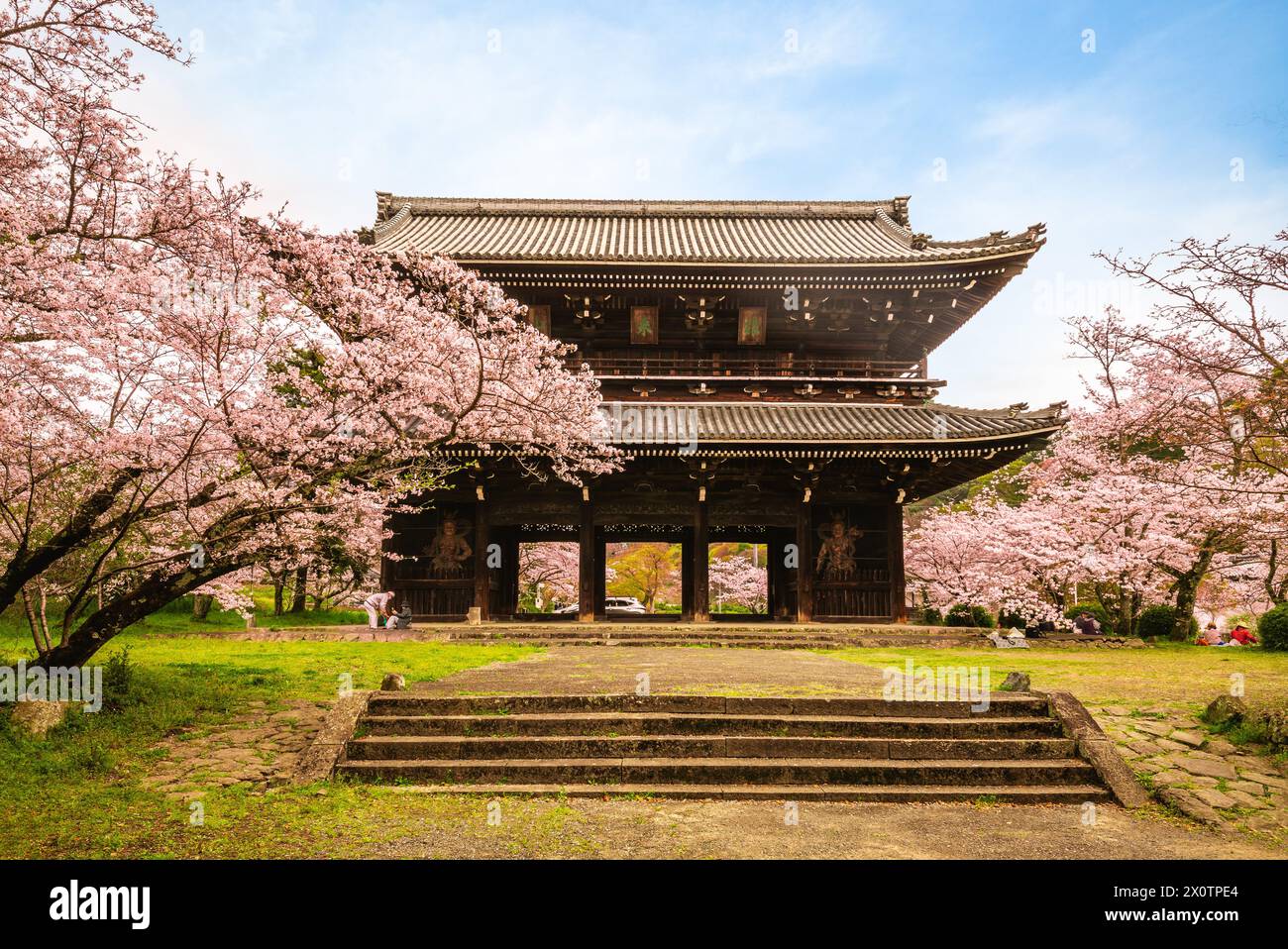 DaiMon des Negoro JI-Tempels in Iwade, Wakayama, Kansai, Japan. Übersetzung: Negoro-Tempel Stockfoto