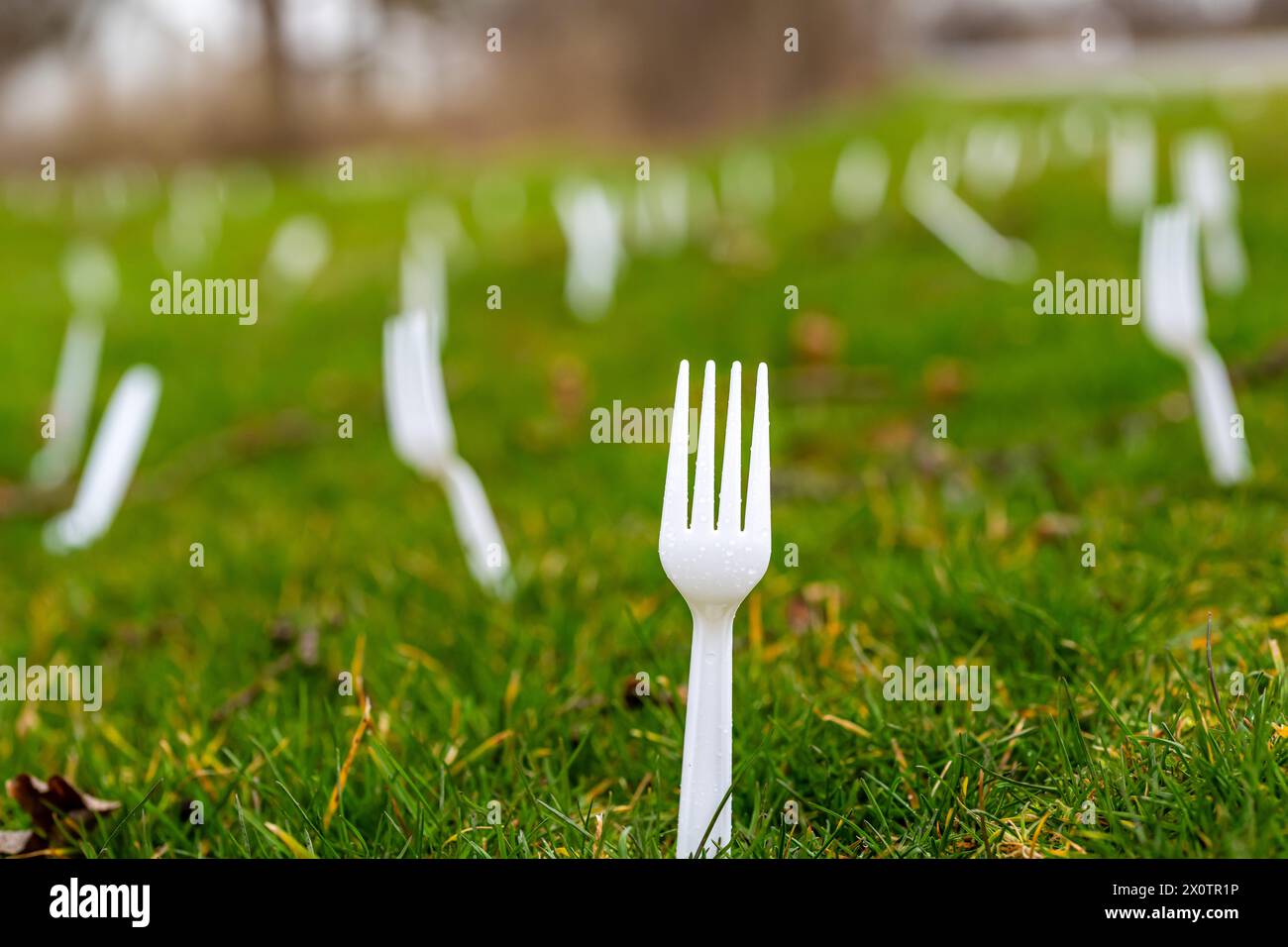 Viele weiße Plastikgabeln wurden auf Rasen, Gabeln, Gras gepflanzt, als Aprilscherz. Stockfoto