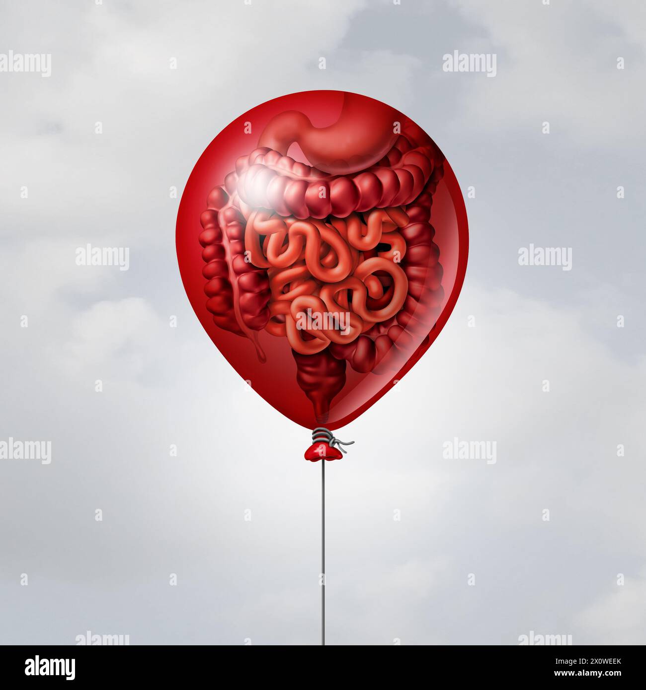 Blähungen oder Blähungen im Bauch als Symptome von übermäßigem Gas oder Blähungen als Gefühl eines aufgeblähten Magens oder Schmerzen im Verdauungstrakt als Reizdarm Stockfoto