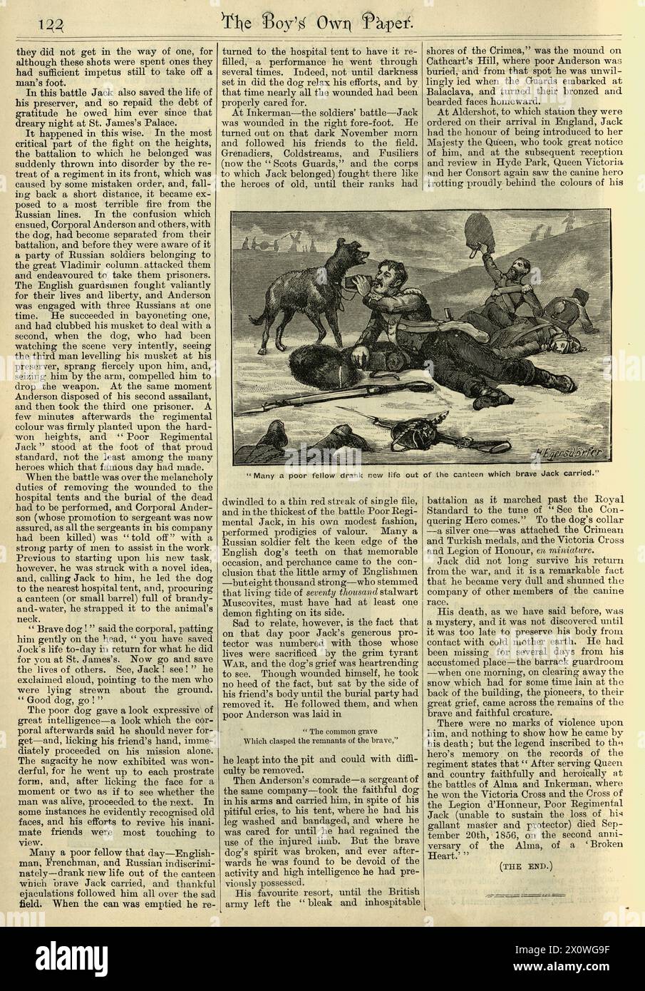 Britisches Regimentsmaskottchen, Jack the Dog, Krimkrieg, Militärgeschichte, 19. Jahrhundert Stockfoto