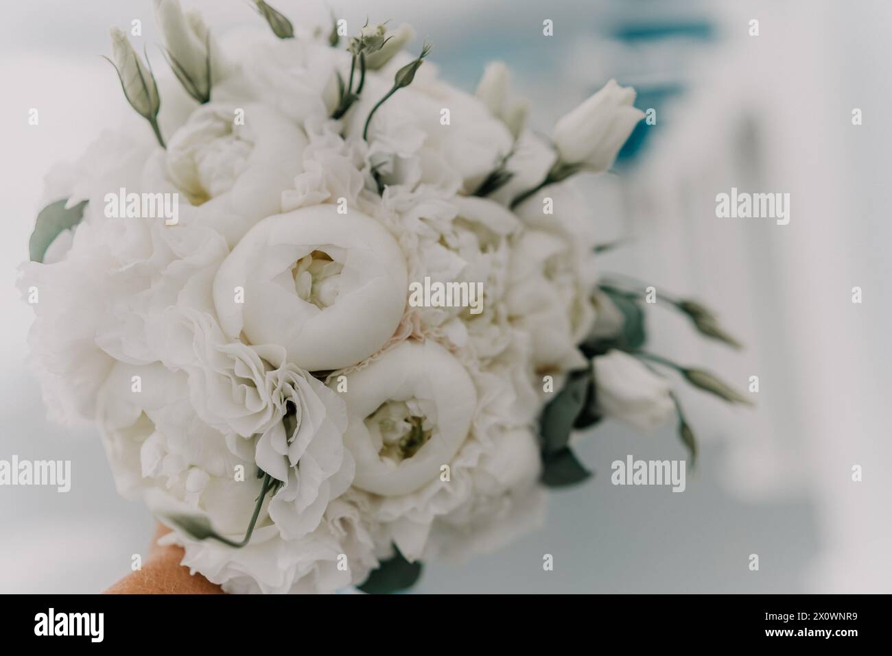 Ein Strauß weißer Blumen wird von einer Person gehalten. Die Blüten sind so angeordnet, dass sie nicht zu nah beieinander liegen, was den Effekt verleiht Stockfoto