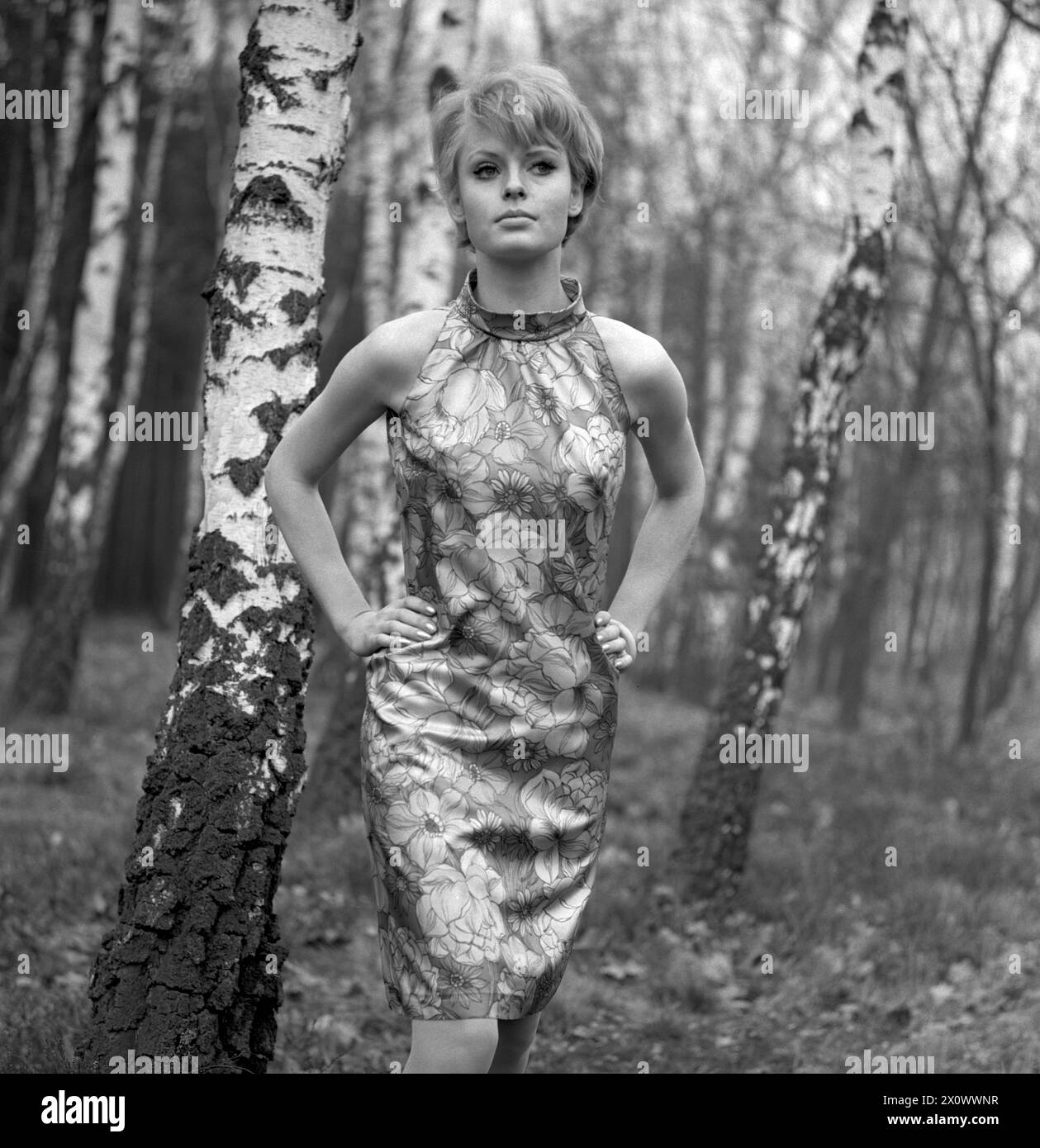 01.03.1971, Berlin, DDR - Werbeaufnahme für Modezeitschriften: Model Show im Wald die neueste Damenmode. 20-30 Jahre, 70er Jahre, Alltag, aussen, Aussenaufnahme, Bekleidung, Berlin, Damenmode, DDR, deutsch, deutsche Demokratische Republik, Deutschland, Europa, Europa, Mode, Frau, Fruehjahr, Fruehling, für dich, DDR, Gesellschaft, Historie, historisch, Jahreszeit, Kaukasierin, Kaukasisch, Kleid, Kleidung, Mannequin, Mensch, Modus, Modeaufnahme, Modekollektion, Modell, Modeshooting, modisch, Natur, Person, pmscartandhistory, Pose, posieren, praesentieren, Pramo, QF, Quadrat, Querformat, Stockfoto