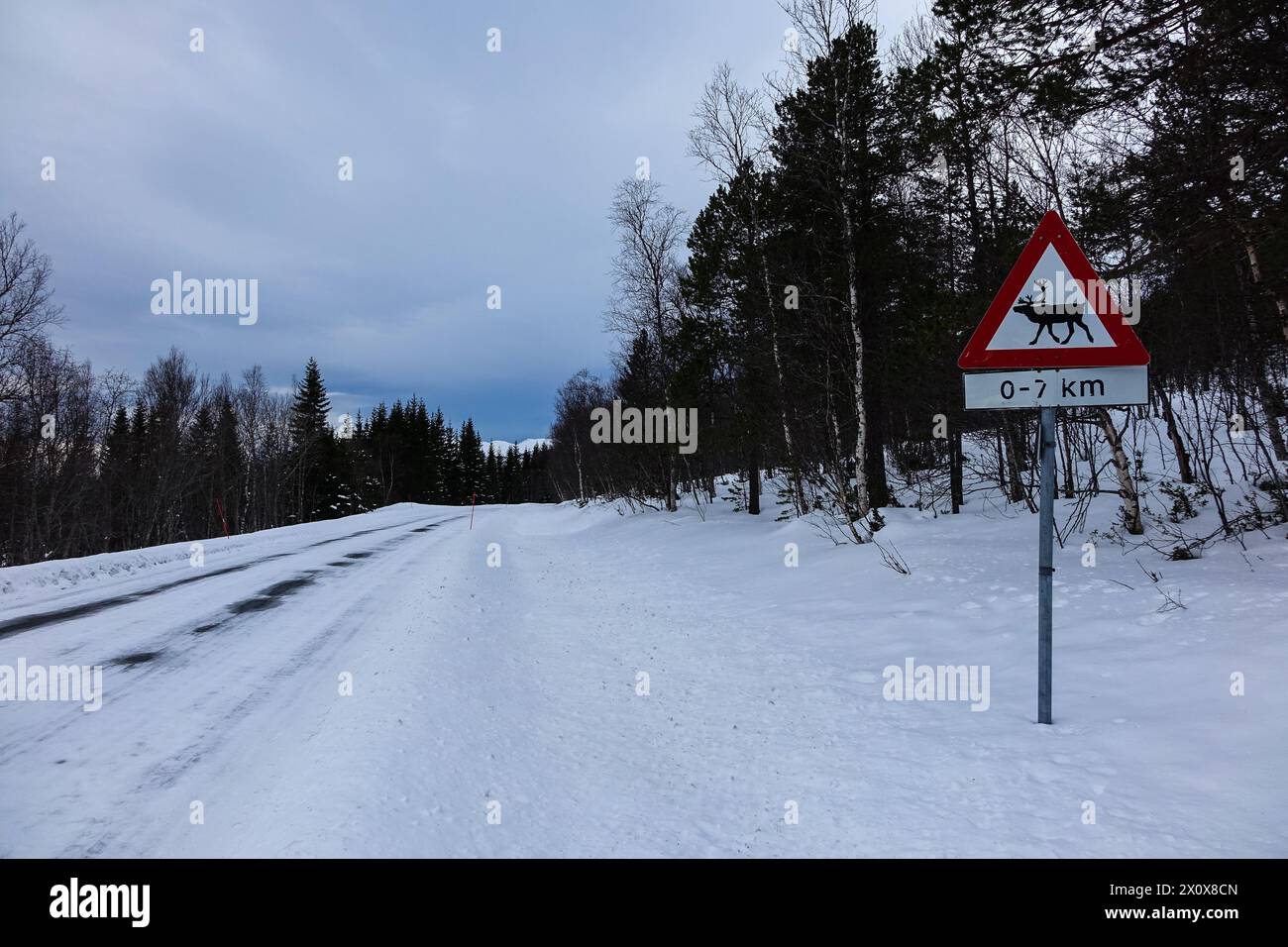 Warnschild Elche/Elche, Norwegen Stockfoto