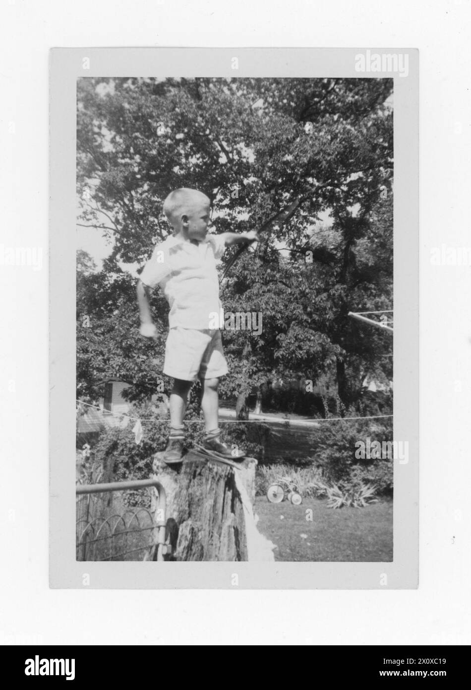 Antikes Schwarzweißfoto eines Fünfjährigen, der auf einem Baumstumpf steht, in Missouri 1953, USA Stockfoto