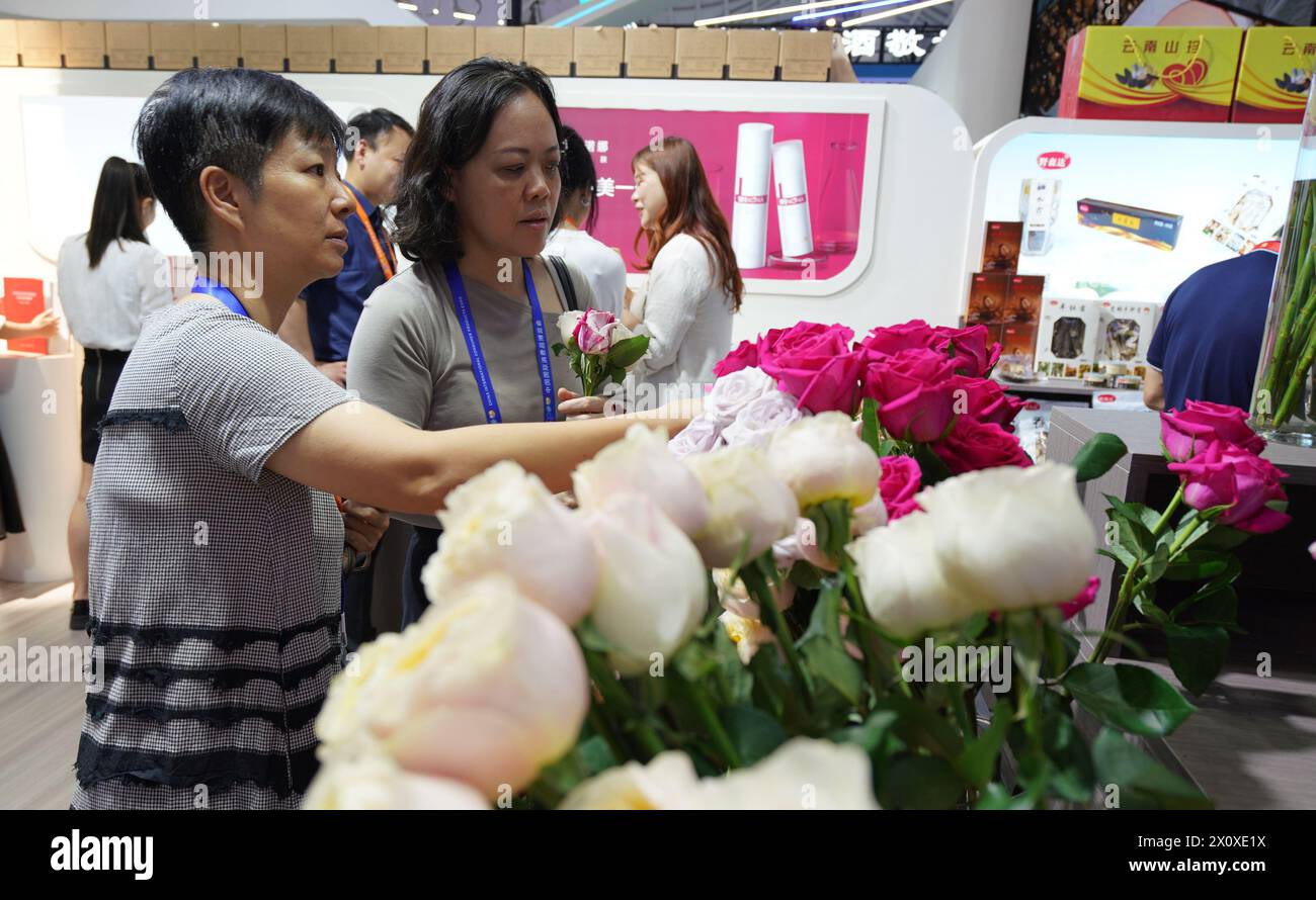 (240414) -- HAIKOU, 14. April 2024 (Xinhua) -- Besucher wählen Rosen am Yunnan-Stand der vierten China International Consumer Products Expo (CICPE) in Haikou, Hauptstadt der südchinesischen Provinz Hainan, 14. April 2024. Zahlreiche einheimische Marken haben auf der expo viele Besucher angezogen. (Xinhua/Li Mengjiao) Stockfoto