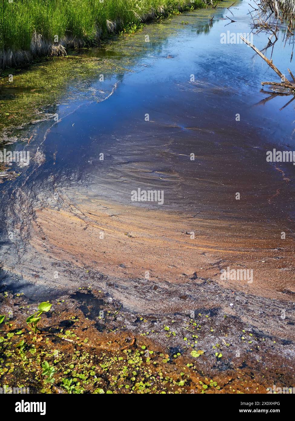 Stark verschmutztes Wasser, Oberflächenbiofilm, Bakterienbüschel. Blaualgen (Cyanobakterien) - Oberfläche des Reservoirs sah aus wie zu Beginn des Lebens 3,5 Stockfoto