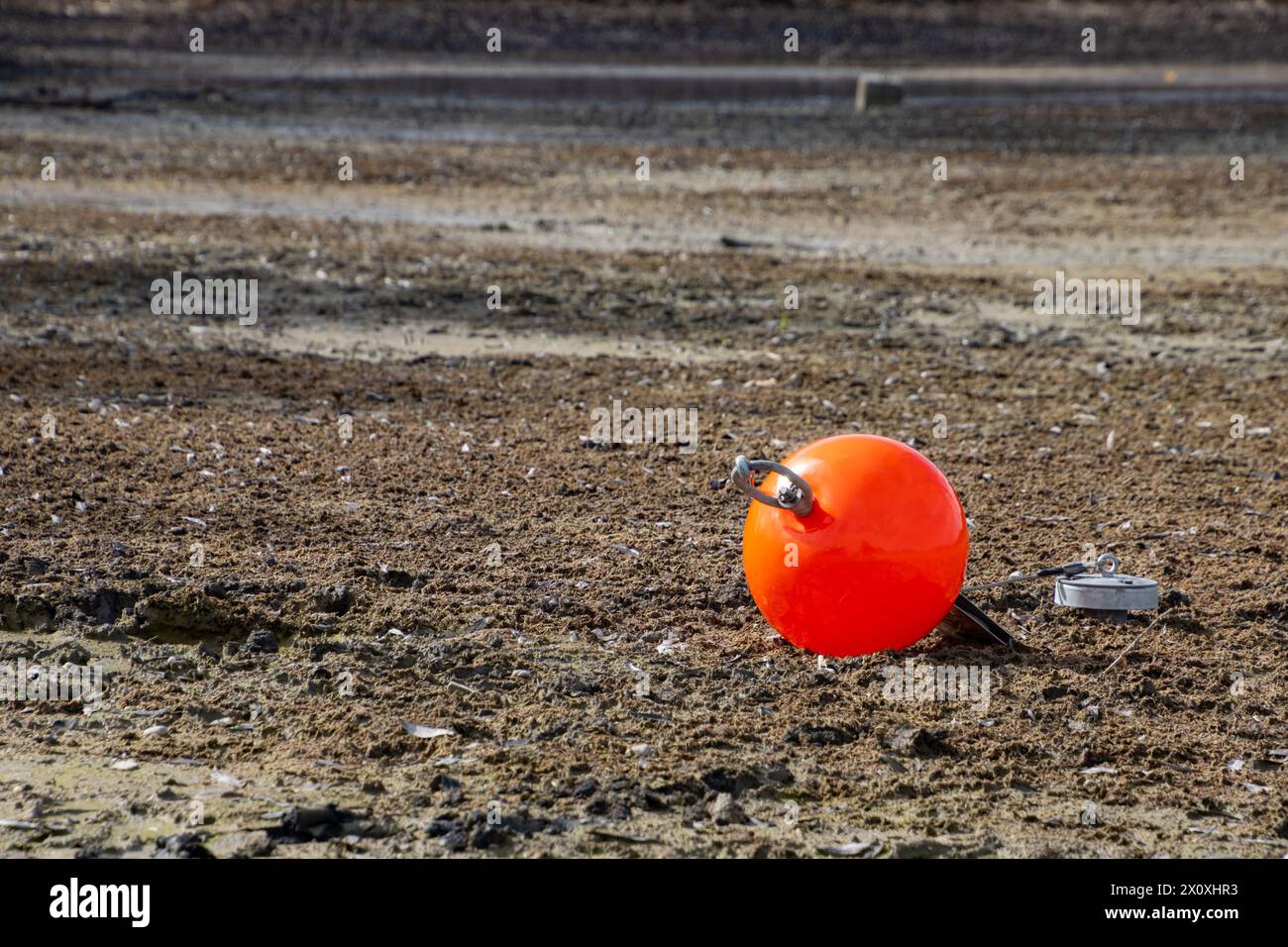 Rote Boje auf dem Boden eines ausgetrockneten Sees Stockfoto