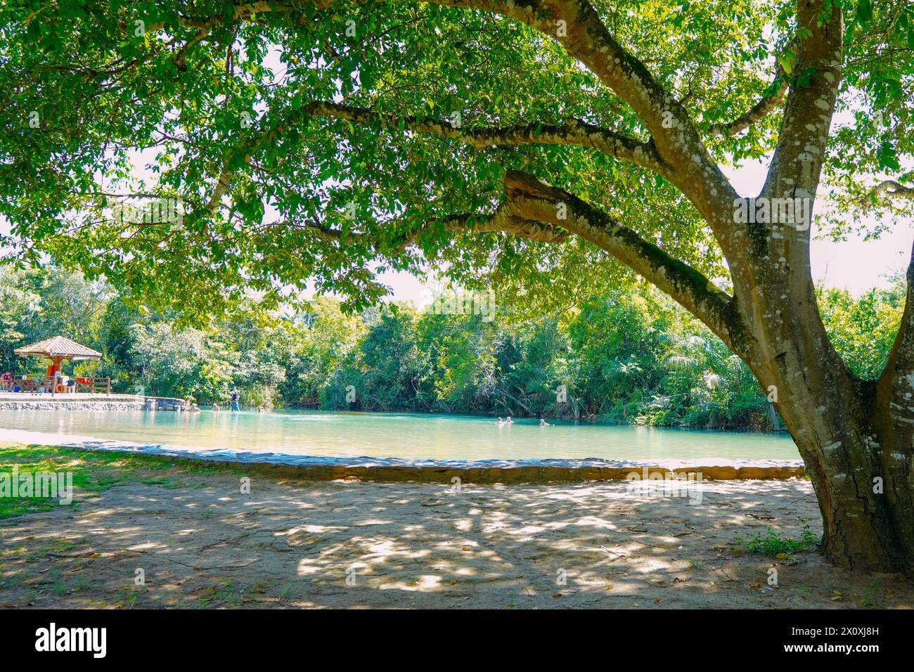 Teilweiser Blick auf den Fluss Formoso, im Gemeindegebiet, in Bonito, in Mato Grosso do Sul Stockfoto