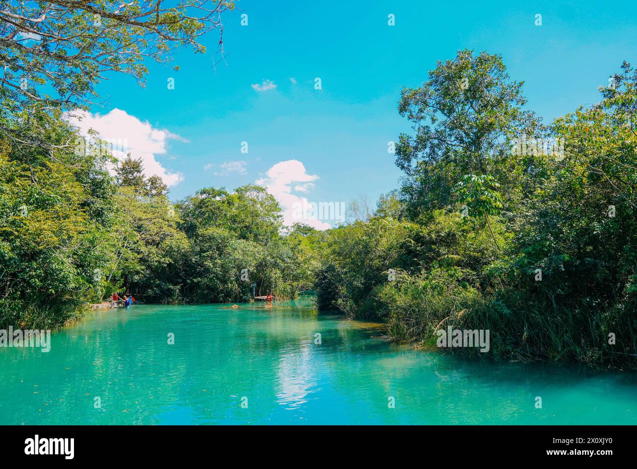 Teilweiser Blick auf den Fluss Formoso, im Gemeindegebiet, in Bonito, in Mato Grosso do Sul Stockfoto