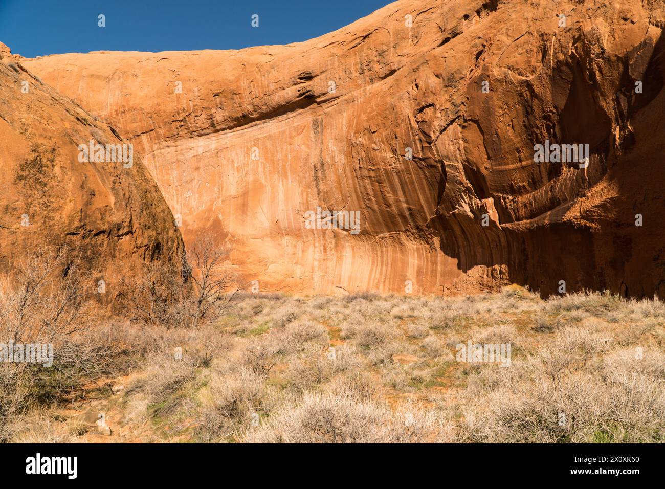 Wandern Sie zum Broken Bow Arch, Utah Stockfoto