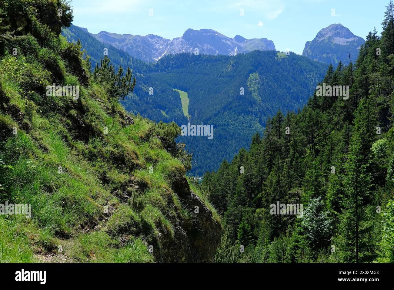 Malerische Aussicht auf die grünen Berge der Alpen mit zerklüfteten Schluchten, Gebirgszüge in Europa, anspruchsvolles Gelände, atemberaubende Naturschönheiten Stockfoto