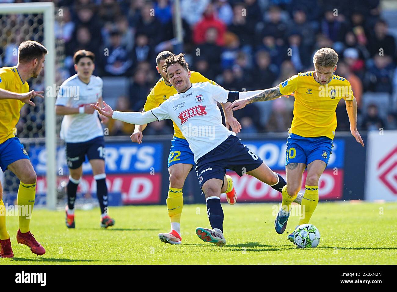 Superliga-Spiel zwischen AGF und Broendby IF im Ceres Park in Aarhus Sonntag, 14. April 2024. (Foto: Bo Amstrup/Scanpix 2024) Stockfoto