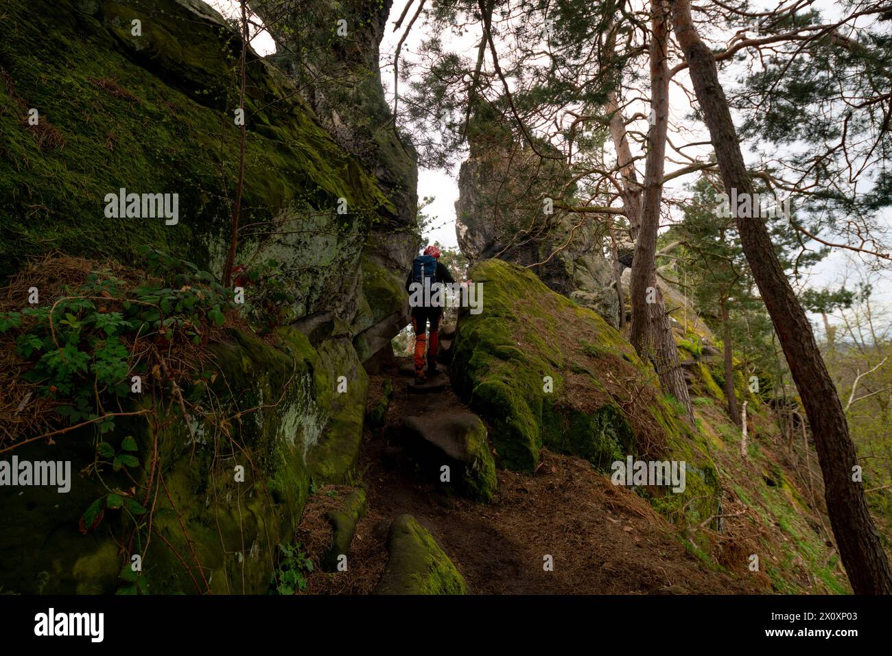 Wandern im Harz die Teufelsmauer zwischen dem Felsen Großmutter und dem Felsen Großvater bei Blankenburg im Harz, fotografiert am 5. April 2024. Neinstedt Sachsen Anhalt Deutschland Teufelsmauer 001120 *** Wandern im Harz die Teufelsmauer zwischen der Felsengroßmutter und dem Felsengroßvater bei Blankenburg im Harz, fotografiert am 5. April 2024 Neinstedt Sachsen Anhalt Germany Teufelsmauer 001120 Stockfoto