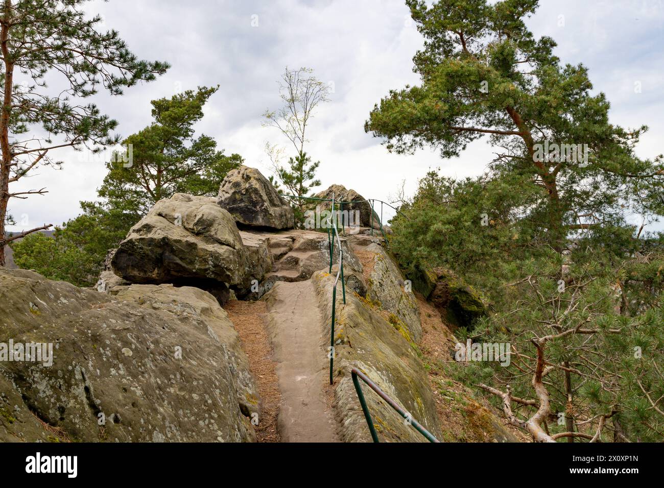 Wandern im Harz die Teufelsmauer zwischen dem Felsen Großmutter und dem Felsen Großvater bei Blankenburg im Harz, fotografiert am 5. April 2024. Neinstedt Sachsen Anhalt Deutschland Teufelsmauer 001095 *** Wandern im Harz die Teufelsmauer zwischen der Felsengroßmutter und dem Felsengroßvater bei Blankenburg im Harz, fotografiert am 5. April 2024 Neinstedt Sachsen Anhalt Germany Teufelsmauer 001095 Stockfoto