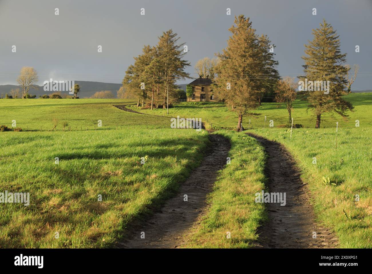 Landschaft im ländlichen County Sligo, Irland, mit einer Landstraße, die von grünen Feldern mit Ackerwiesen umgeben ist und zu einem heruntergekommenen Bauernhaus führt Stockfoto