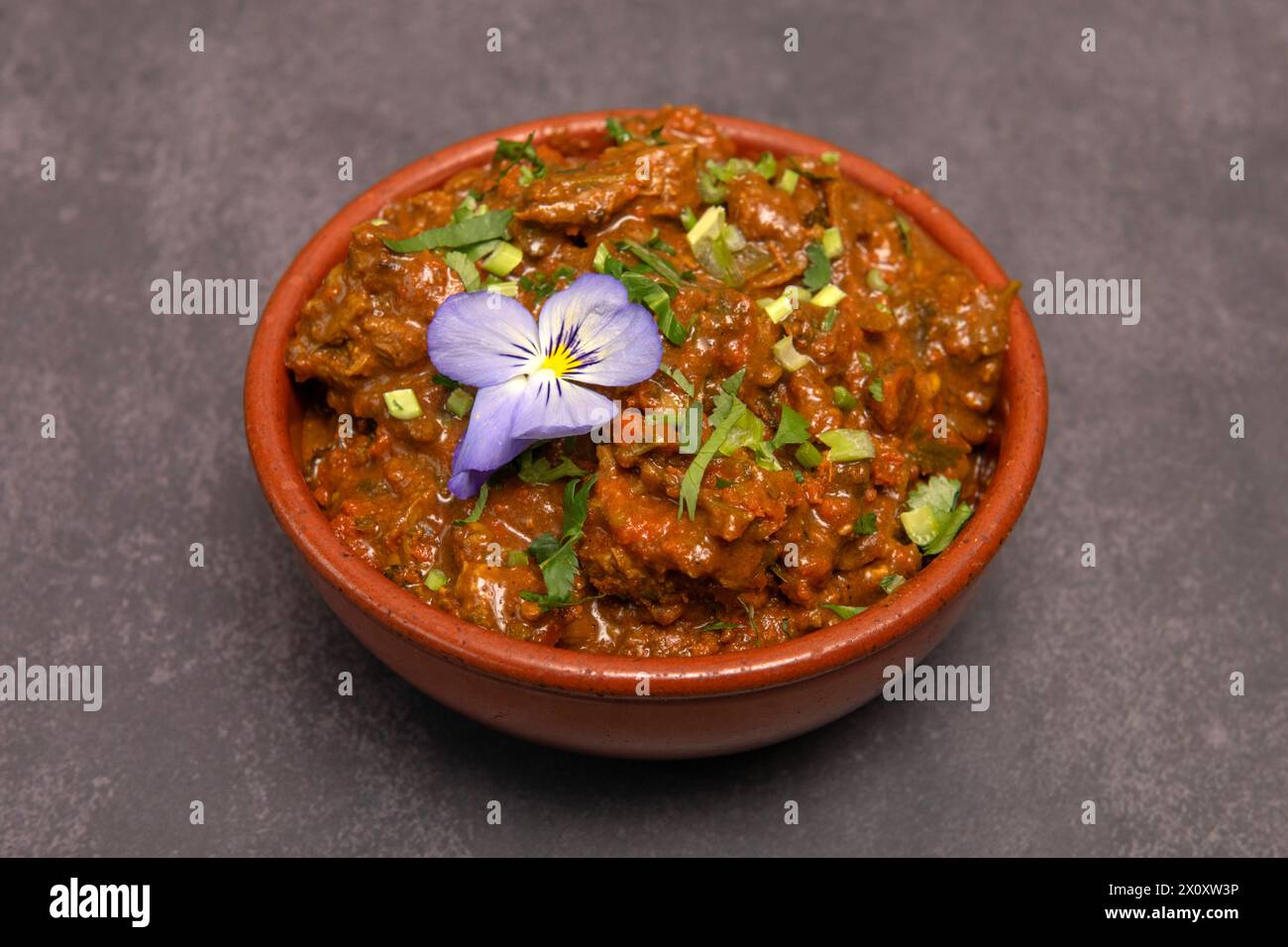 Srilankische Küche. Lammcurry Stockfoto