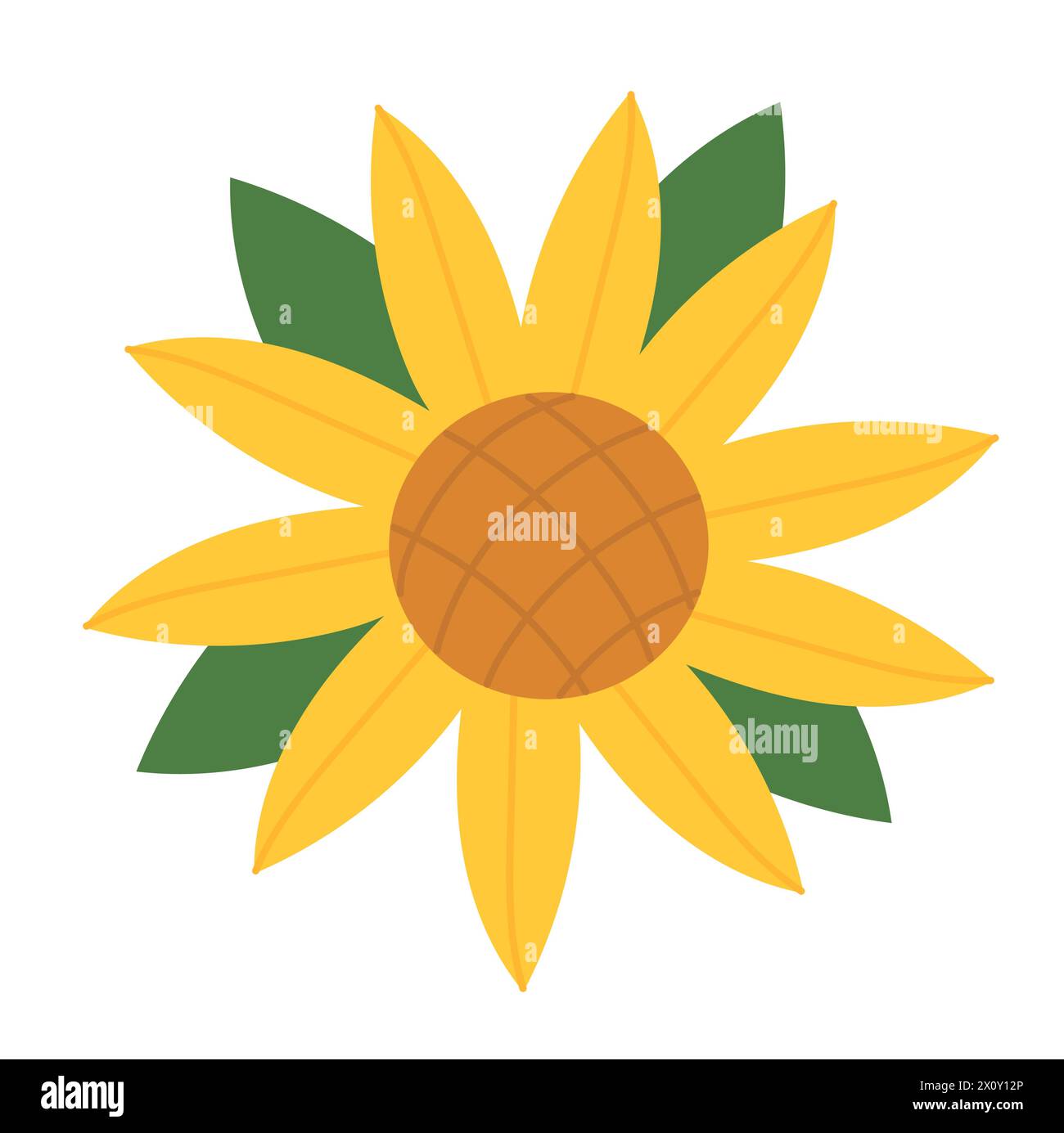 Gelbe Sonnenblume mit Blättern in voller Blüte. Botanischer Vektor - flache Illustration. Perfekt für Karten, Logos, Dekorationen, Frühlings- und Sommermotive. Stock Vektor