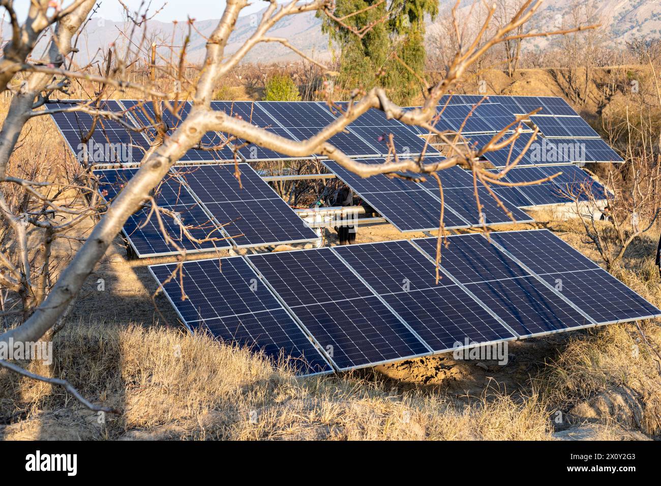 Solarpaneel-Farm auf dem Land. Konzept der erneuerbaren Energien. Stockfoto