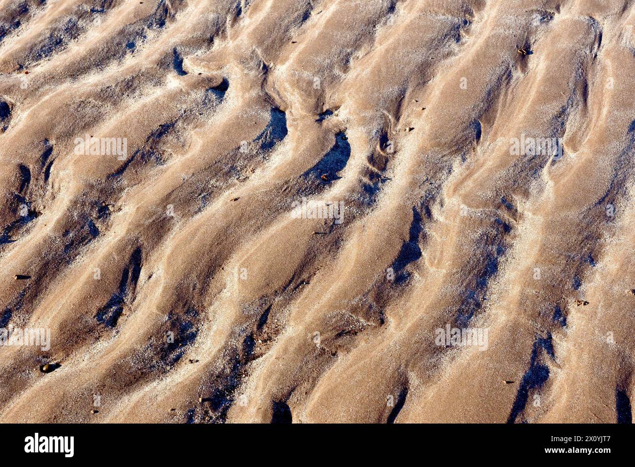 Nahaufnahme der Wellen oder Wellen, die an einem Sandstrand nach der Flut hinterlassen wurden, hervorgehoben durch das Licht einer niedrigen Wintersonne. Stockfoto