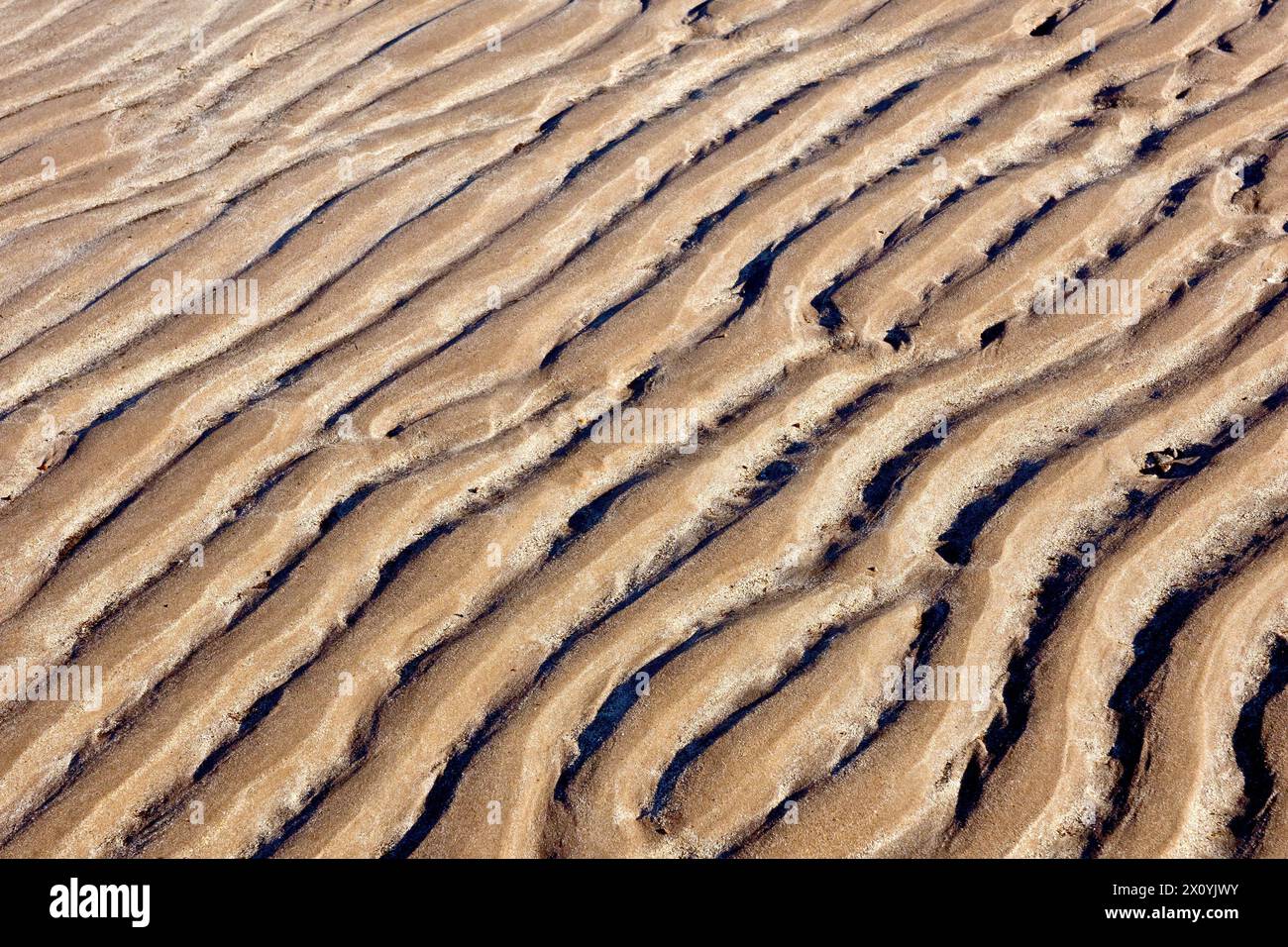 Nahaufnahme der Wellen oder Wellen, die an einem Sandstrand nach der Flut hinterlassen wurden, hervorgehoben durch das Licht einer niedrigen Wintersonne. Stockfoto