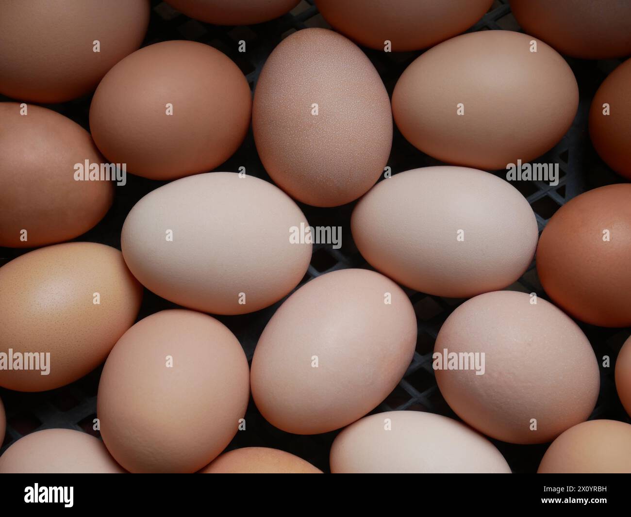 Hühnereier in schwarzer Kunststoffhülle, zufällig gestapelt mit verschiedenen Farben, Farben und Strukturen rohe Gourmet-Produkte Stockfoto
