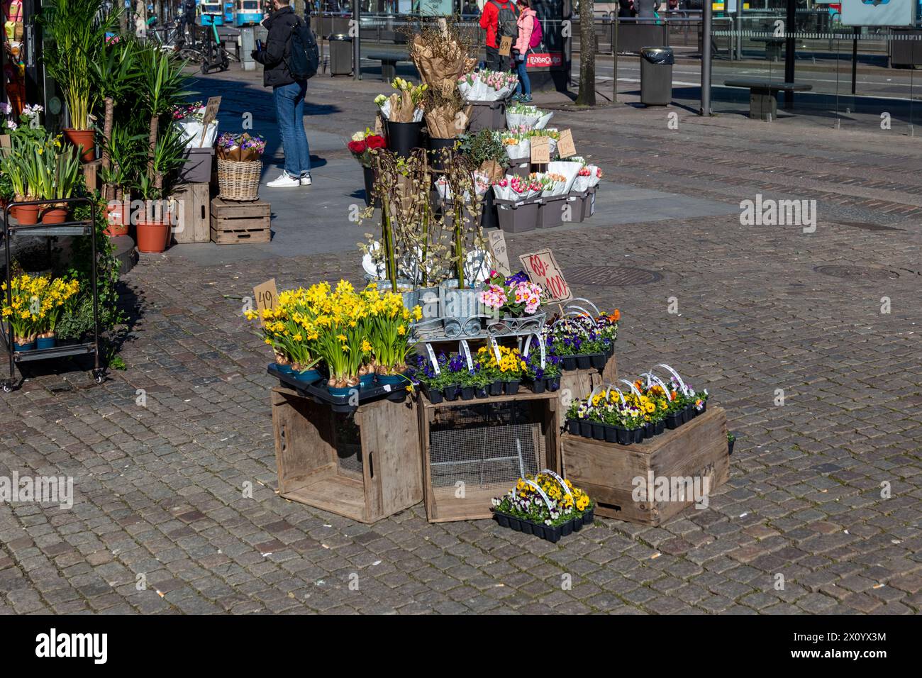 Blumenhändler im Freien an sonnigen Tagen auf der Kopfsteinpflasterstraße im Stadtzentrum von Göteborg, Schweden Stockfoto