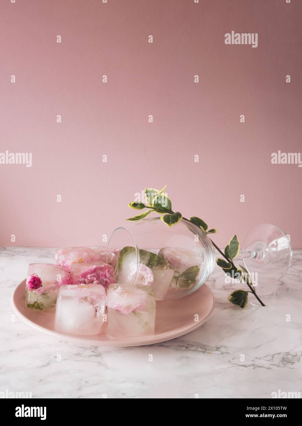 Schöne kleine rosa Blumen in Eiswürfeln und Glas mit Blütenblättern auf rosa Platte auf rosa Hintergrund. Stockfoto