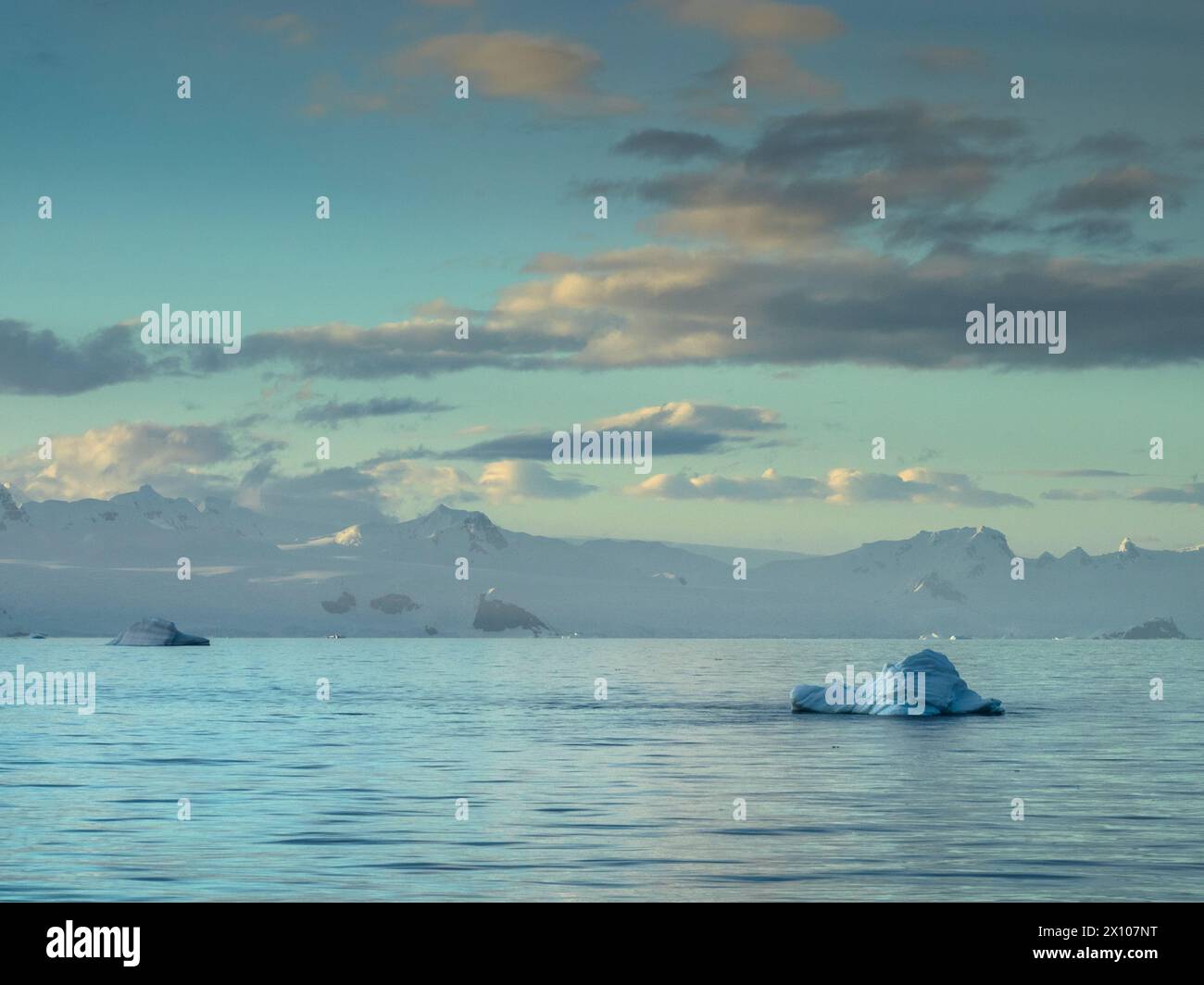 Kleine Eisberge („Growler“) in der Orleans Strait vor der Davis Küste der Antarktischen Halbinsel nahe Trinity Island in der Antarktis Stockfoto