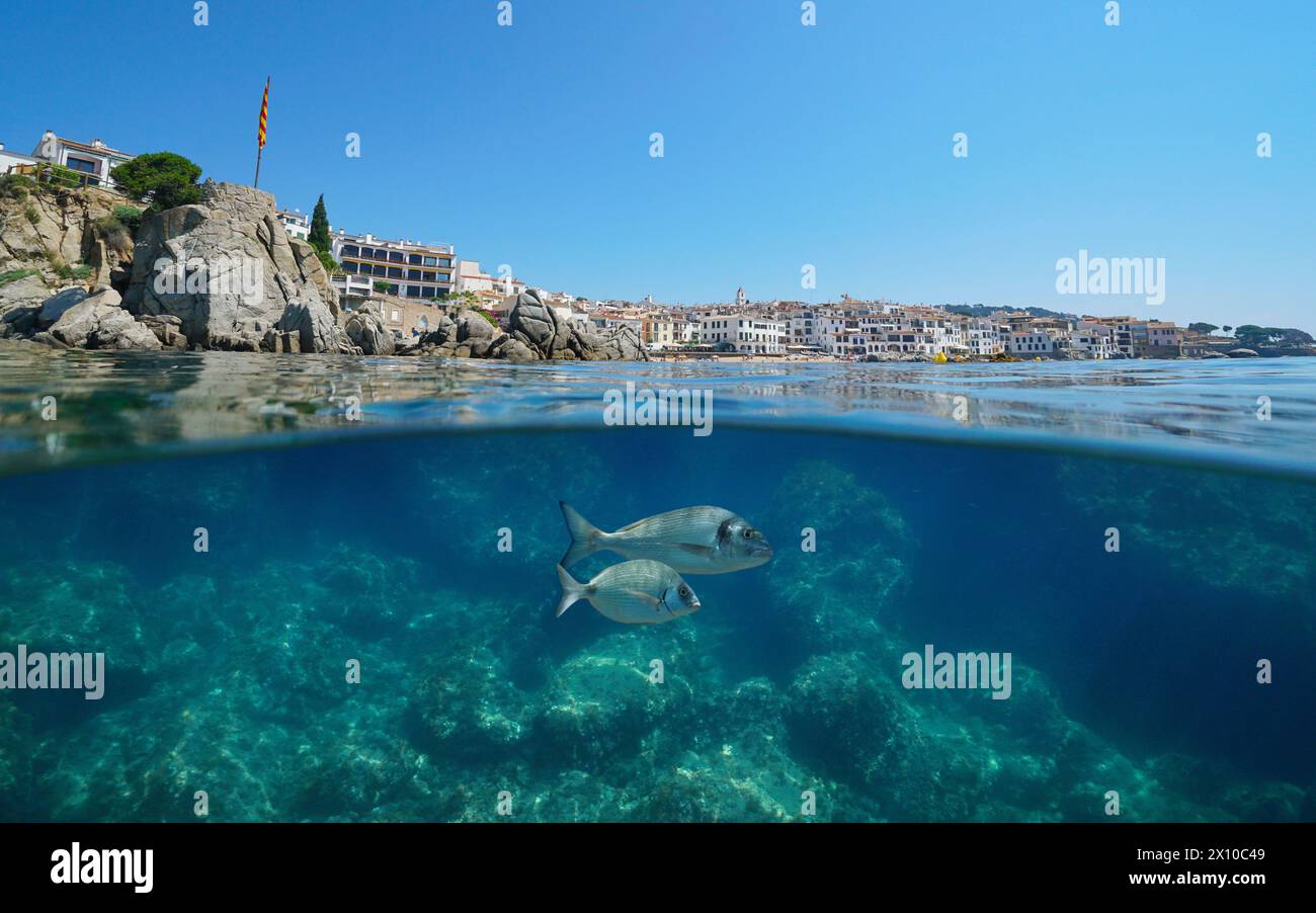 Spanien Stadt an der Mittelmeerküste von der Meeresoberfläche mit Fisch unter Wasser, geteilter Blick über und unter der Wasseroberfläche, Calella de Palafrugell Stockfoto