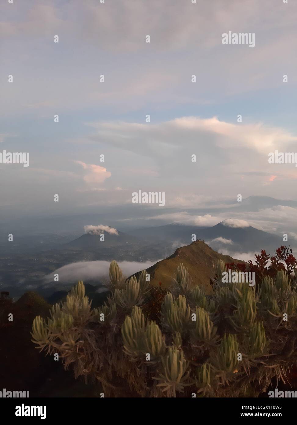 Die Schönheit des Mount Merbabu von oben gesehen, Berggrund, merbabu Berg Stockfoto