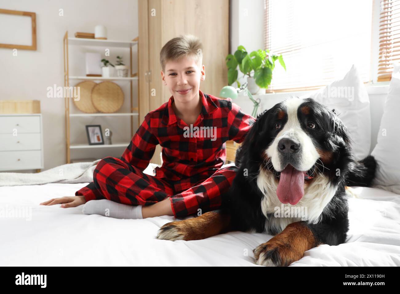 Kleiner Junge mit Berner Berghund sitzt im Schlafzimmer Stockfoto