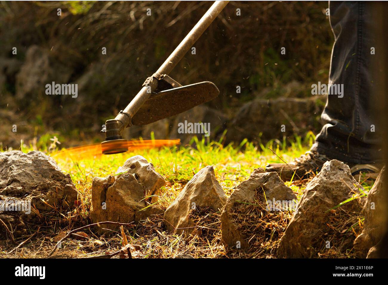 Mann, der Gras mit einem Freischneider schneidet, Capri, Kampanien, Italien, Europa Stockfoto